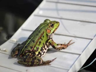 Warum ist eine Raumklimaüberwachung sinnvoll?